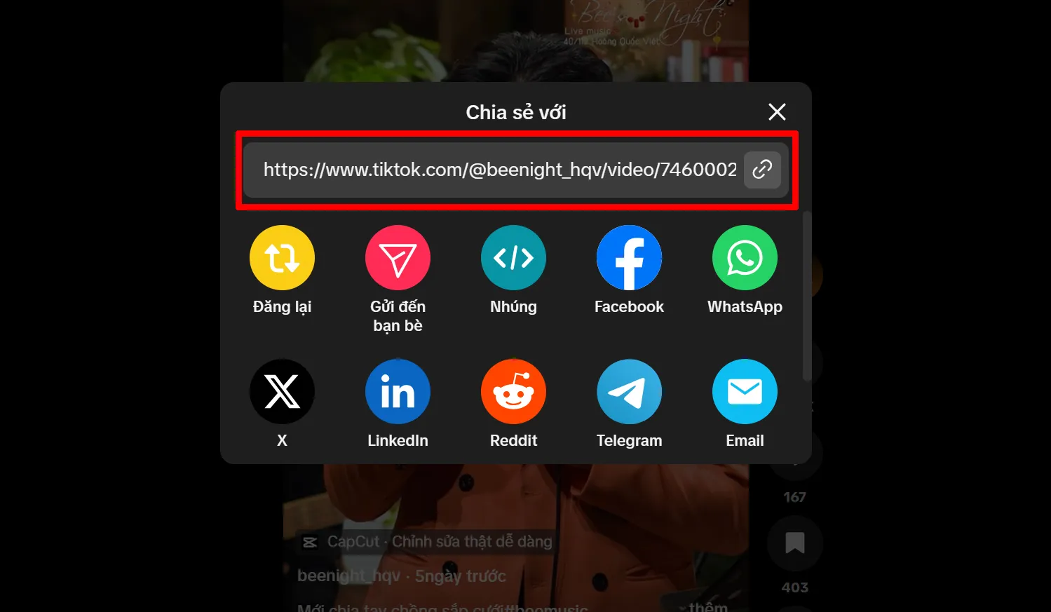 Sao chép liên kết video TikTok