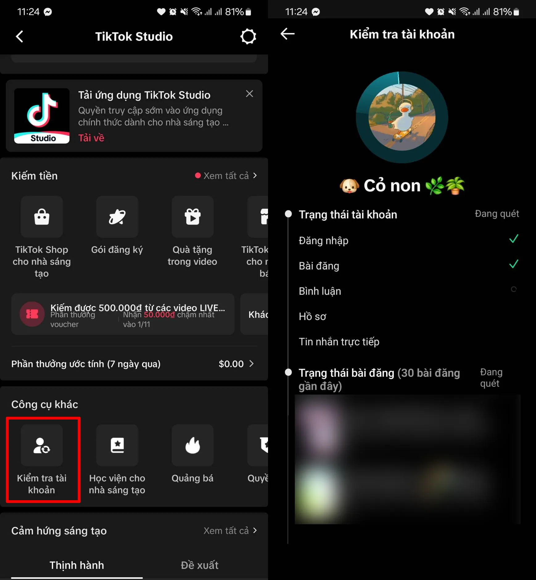 Kết quả kiểm tra tài khoản TikTok