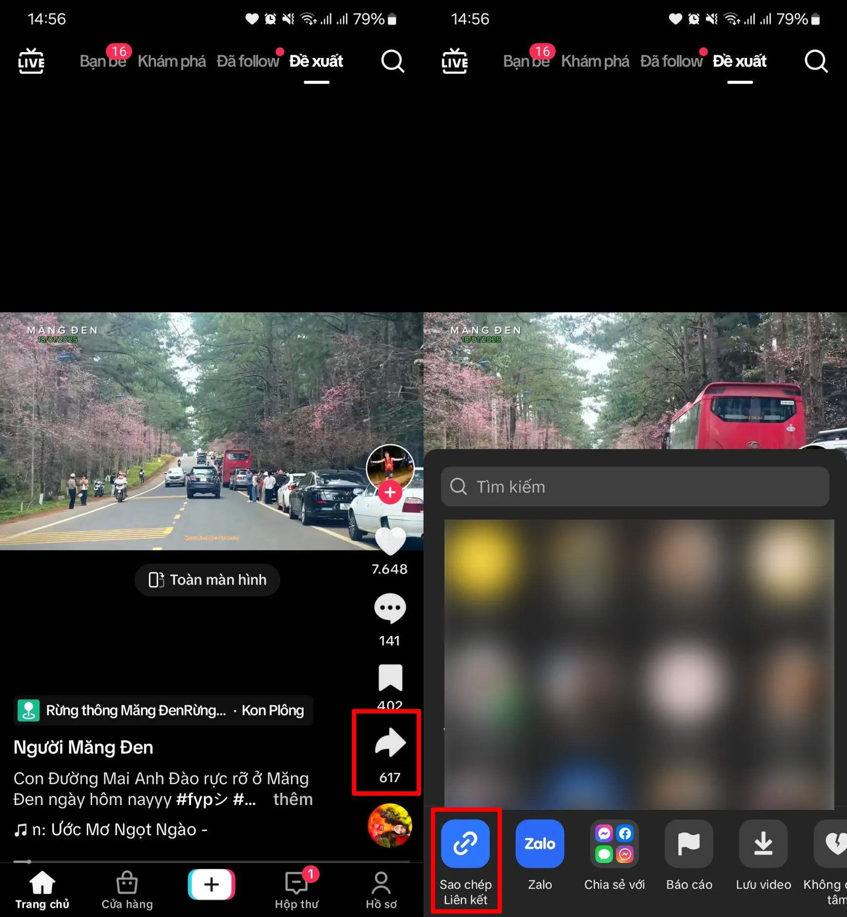 Sao chép liên kết video TikTok để tải nhạc