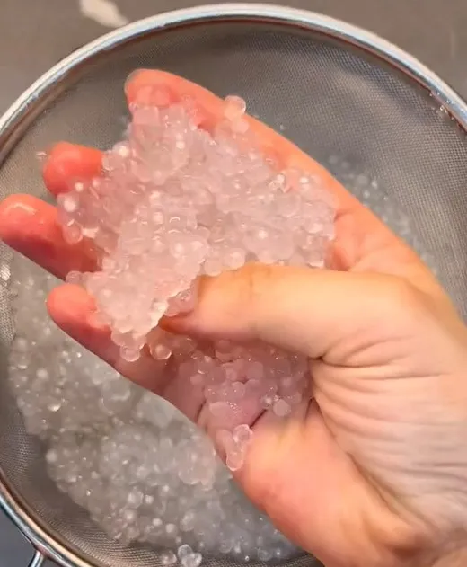 Bột báng được ngâm và luộc chín cho chè chuối dưa hấu.