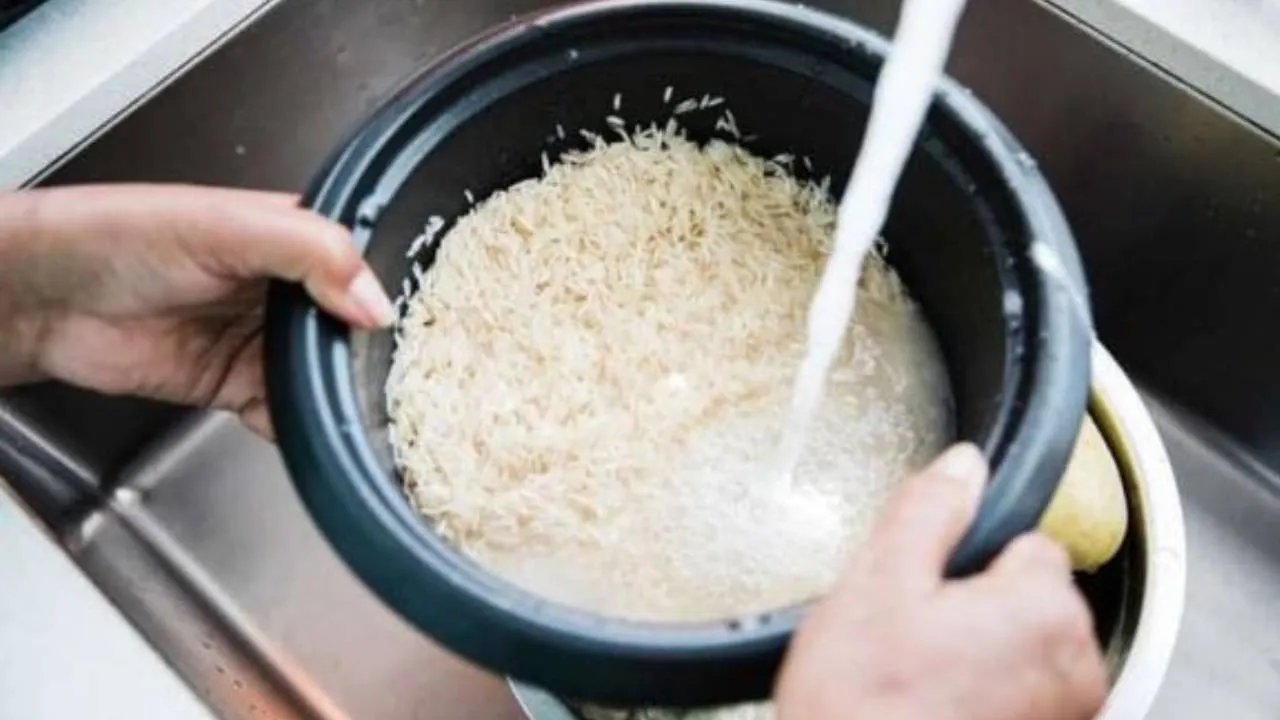 Vo gạo sạch trước khi nấu